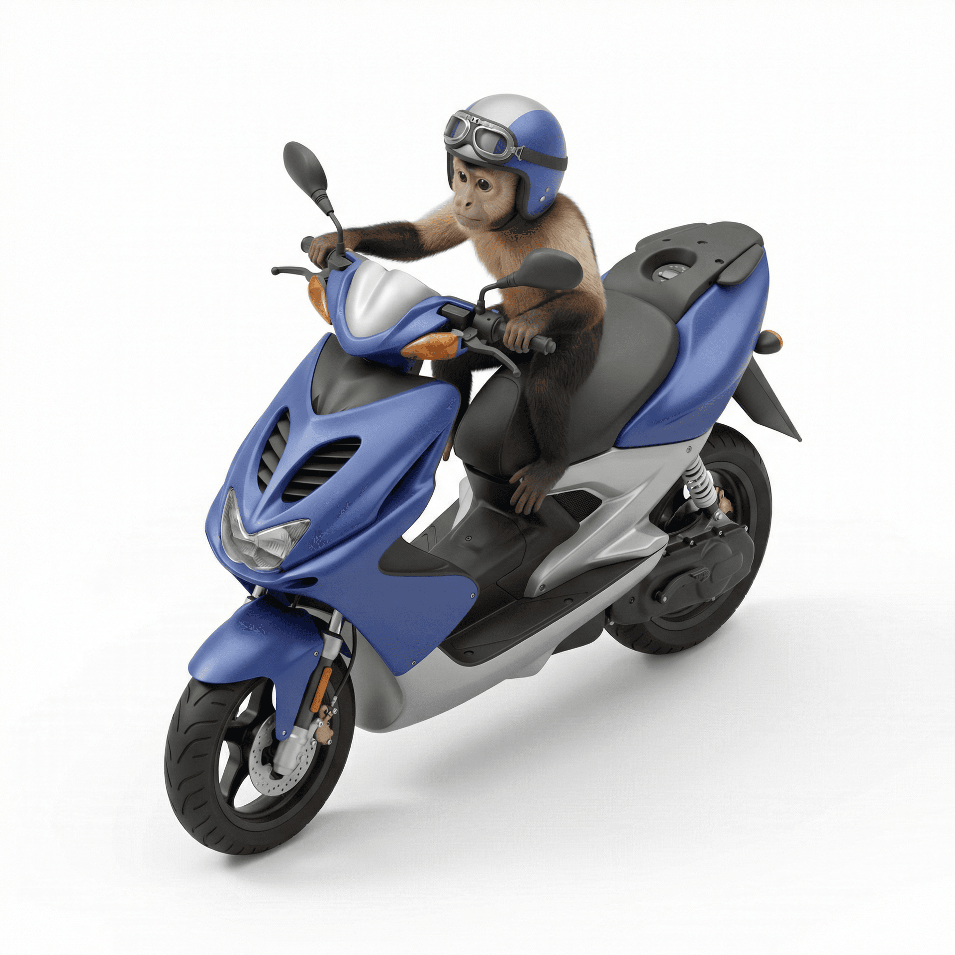 monkey driving a yamaha aerox