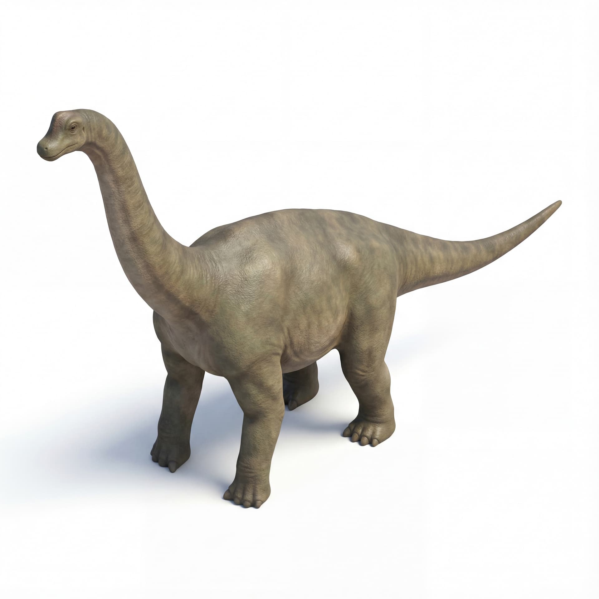 Sauropoda: Dinosaurus herbivora berleher panjang, berjalan dengan empat kaki, dan berukuran raksasa.