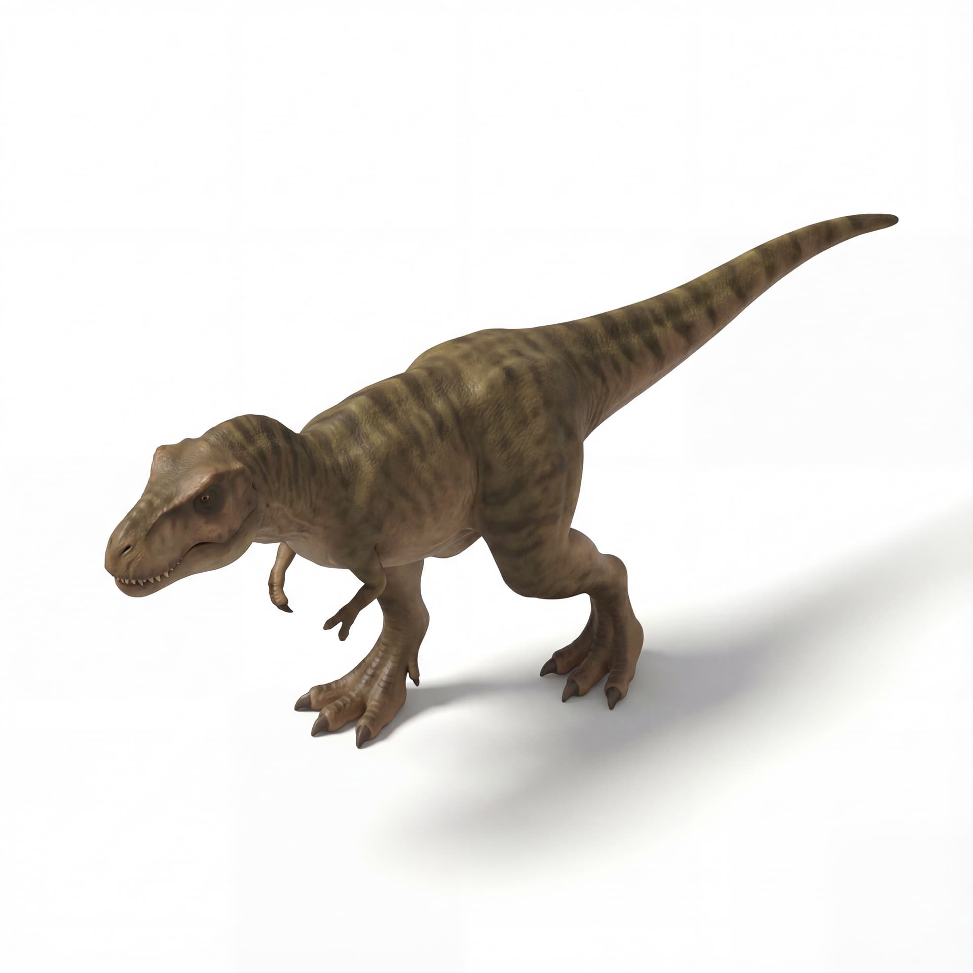 Theropoda: Dinosaurus karnivora, bipedal (berjalan dengan dua kaki).