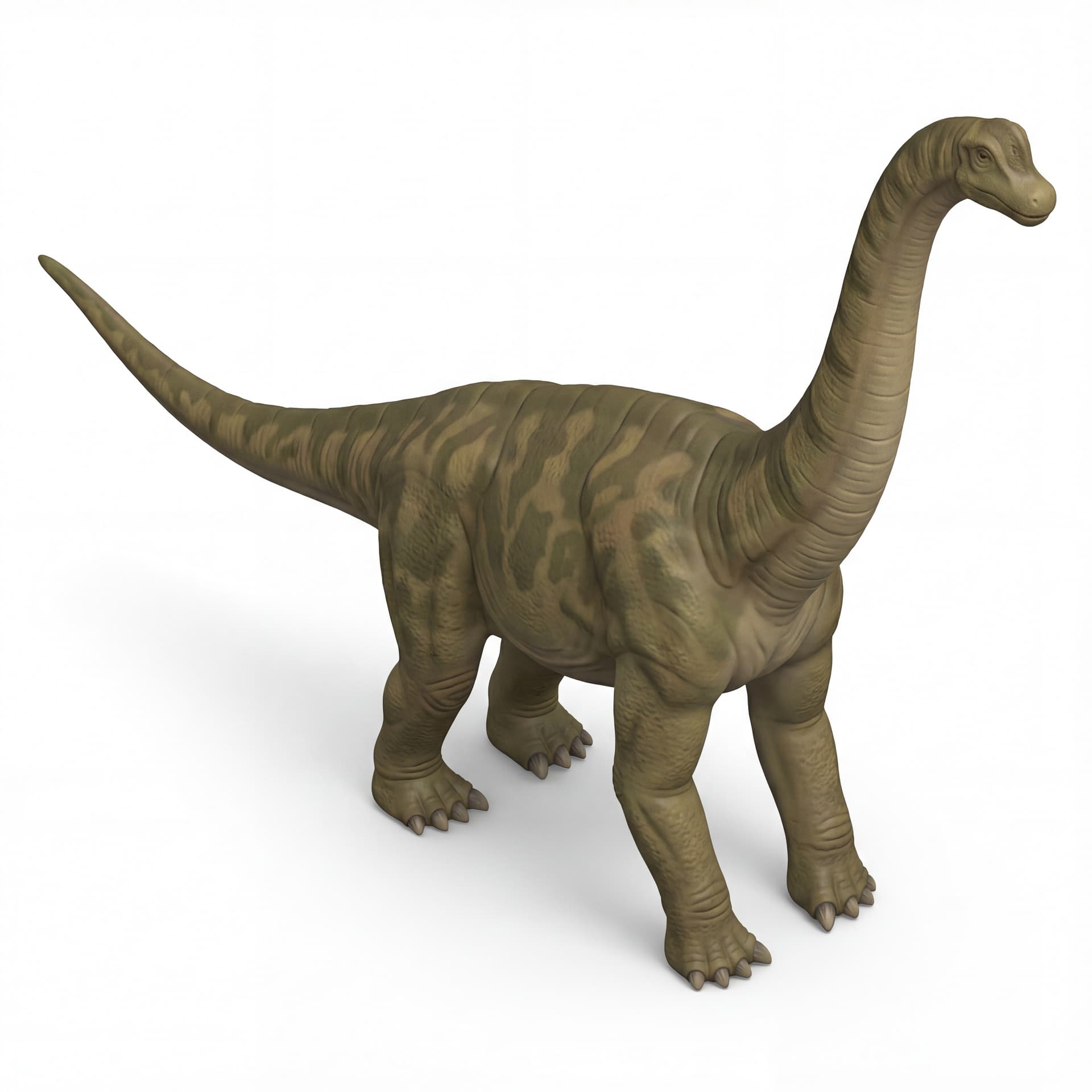 Sauropoda: Dinosaurus herbivora berleher panjang, berjalan dengan empat kaki, dan berukuran raksasa.