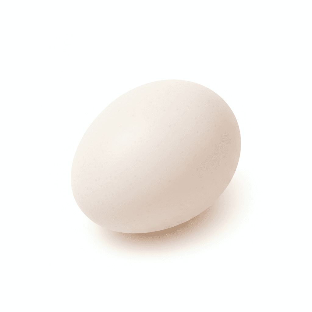 Egg 